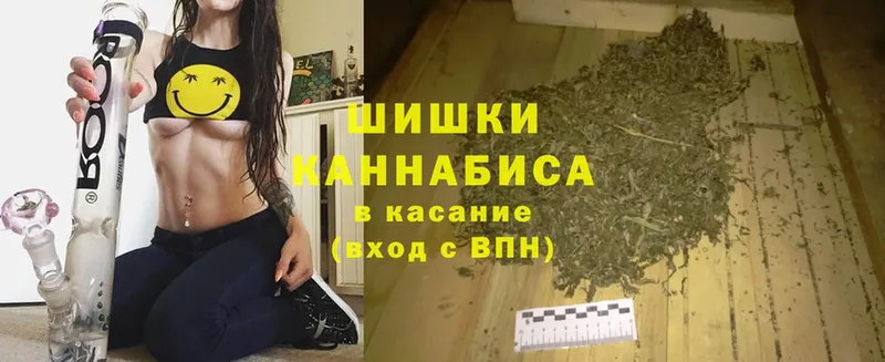 купить  цена  Ладушкин  Конопля сатива 